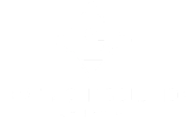 레버리저 솔루션 로고